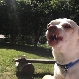 Meet your Posher, Angel